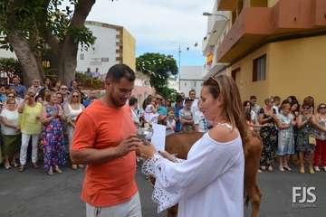 Misa, desfile del ganado y procesión religiosa en el Valle de los Nueve de Telde (Foto Francisco Javier Santana)